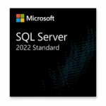 Microsoft SQL Server 2022 Standard retail box – lifetime licence for 1 server