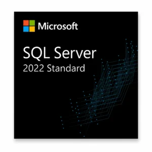 Microsoft SQL Server 2022 Standard retail box – lifetime licence for 1 server